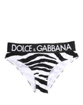 Black White Zebra Print Brief Panty Underwear