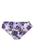 Dolce & Gabbana Multicolor Floral Mid Waist Brief Panty Underwear