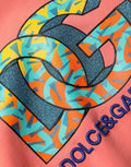 Dolce & Gabbana Pink Graphic Crew Neck Cropped Sweatshirt Sweater