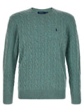 Polo Ralph Lauren Bicolor Wool Cardigan