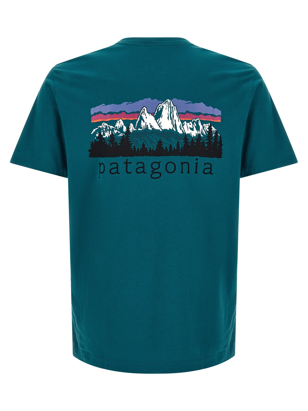 PATAGONIA Bicolor Cotton T-Shirt