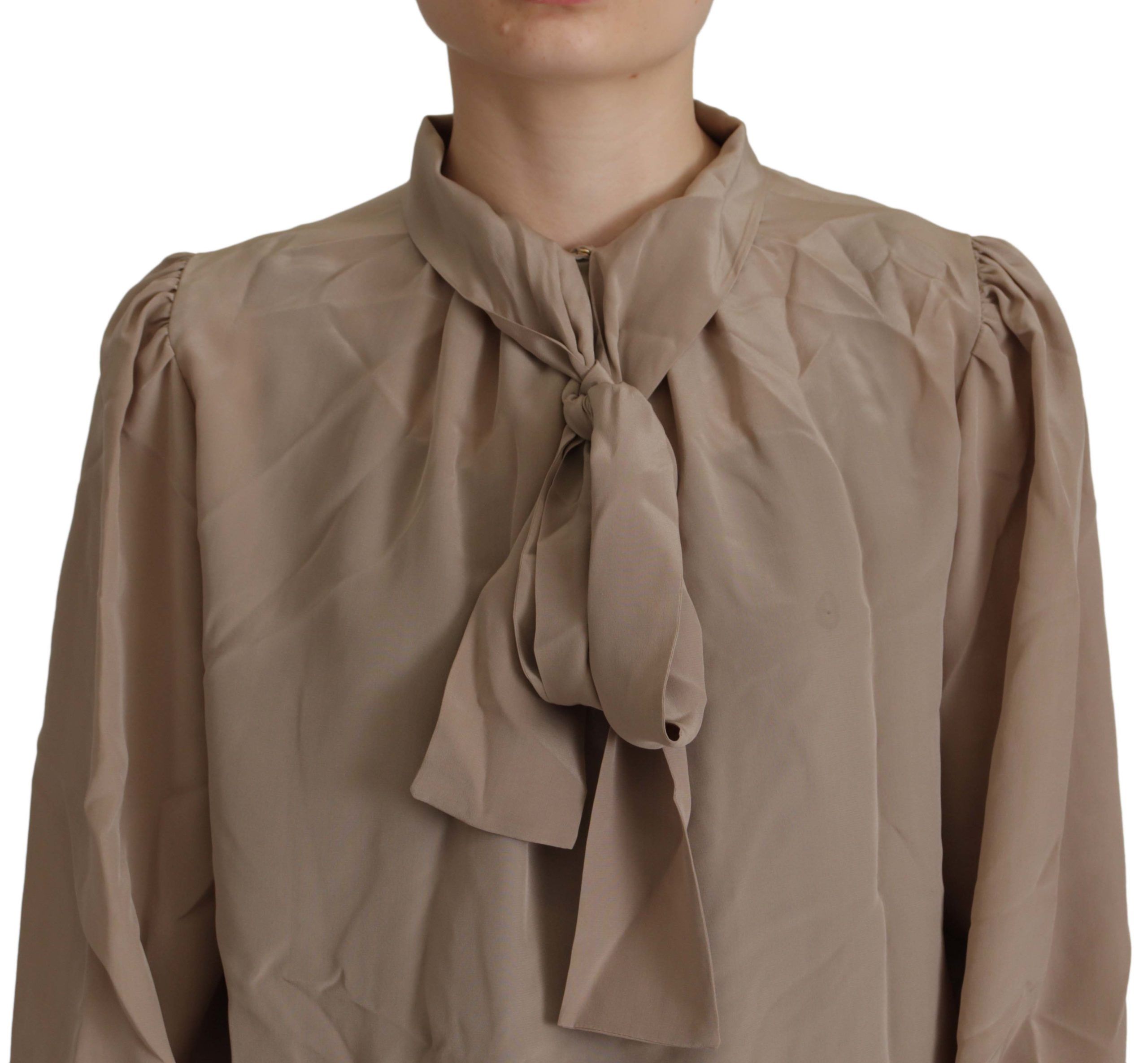 Brown Waistband Sleeves Ascot Collar Top Blouse