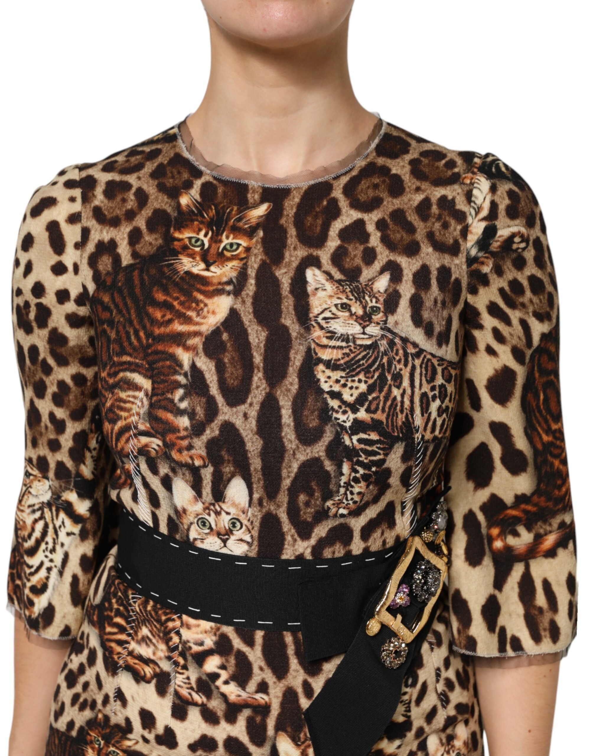 Brown Leopard Print Belted A-line Midi Dress