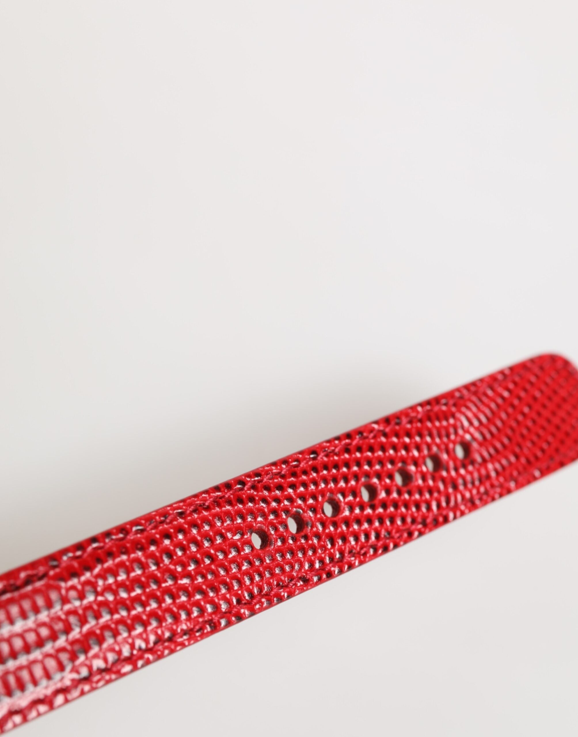 Dolce & Gabbana Red Exotic Leather Gold Tone Metal Buckle Women Armband